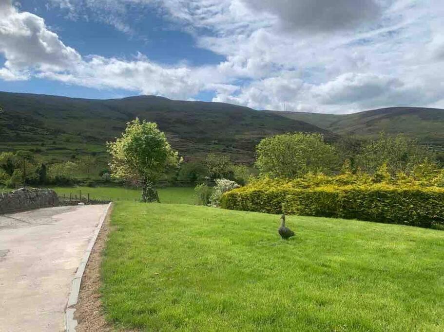 Mountain House Omeath Near Carlingford Villa O Meith Exterior photo