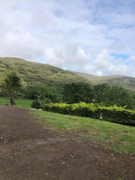 Mountain House Omeath Near Carlingford Villa O Meith Exterior photo